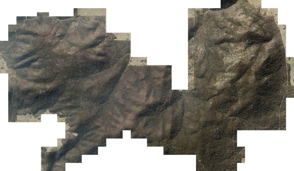 Aerial surveying for wildfire prevention and hazard reduction