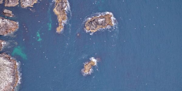 Marine ecology surveys for offshore wind with Phase One