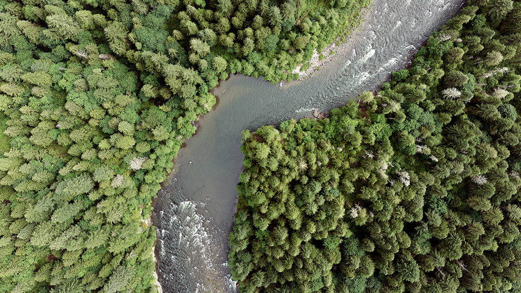 Get millimeter-sized damage spotting detection, fast repair, increased performance, and low environmental impact with Phase One drone aerial imaging solutions and cameras specially designed for drones