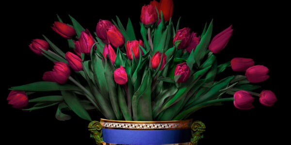 TM Glass artful flower portrait photography