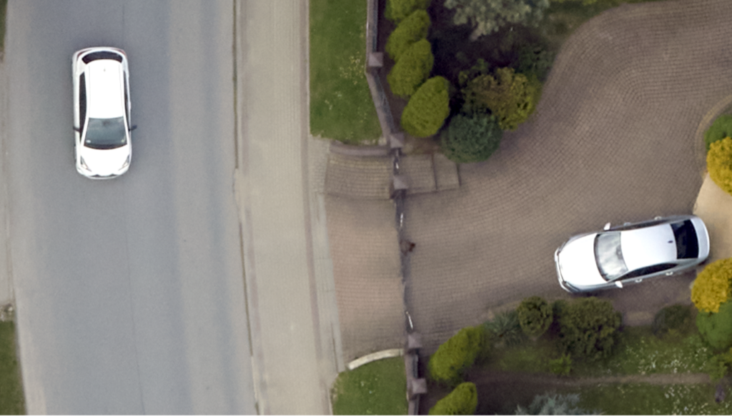 High-resolution aerial photography for identifying tree infections